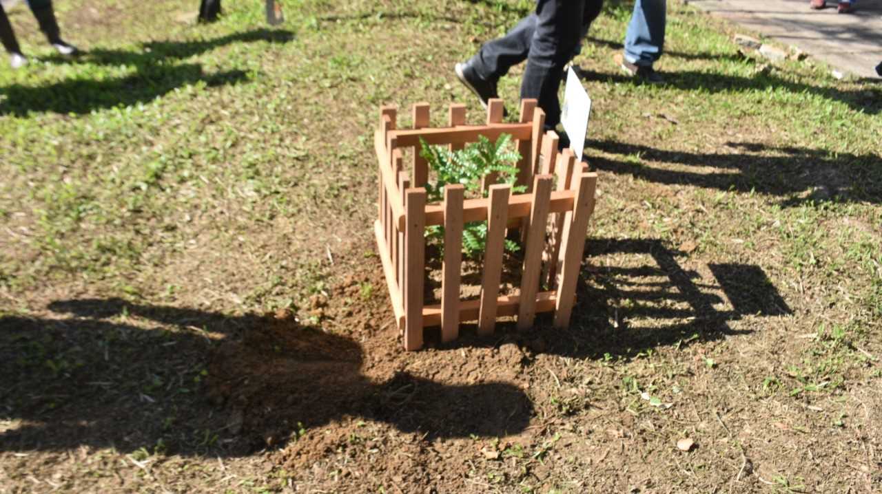 Camacã: Secretaria de Agricultura e Meio Ambiente em parceria com o Lions Clube e Maçonaria, realizam plantio de árvores e homenageia o empresário Eds